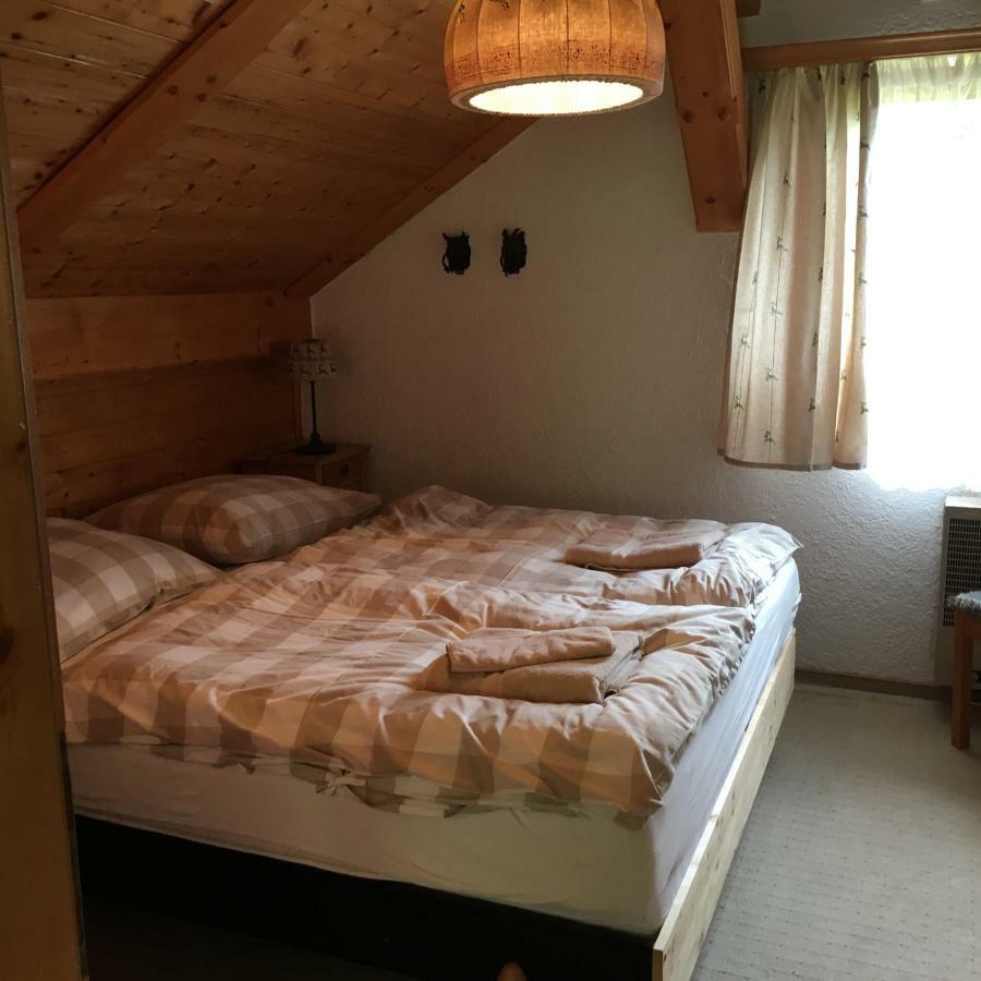 Kleine Ahornau Villa Schladming Buitenkant foto